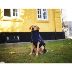 Siccaro WetDog SupremePro 13 Siccaro WetDog SupremePro -Bester Tierserien Laden siccaro wetdog supremepro 20 216994 0500 none