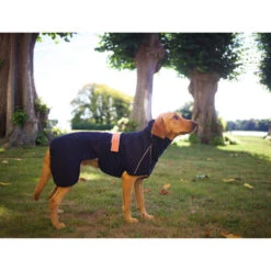 Siccaro WetDog SupremePro 11 Siccaro WetDog SupremePro -Bester Tierserien Laden siccaro wetdog supremepro 20 216995 0500 none