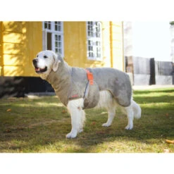 Siccaro WetDog SupremePro 10 Siccaro WetDog SupremePro -Bester Tierserien Laden siccaro wetdog supremepro 20 216997 0500 none