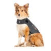 Thundershirt Für Hunde -Bester Tierserien Laden thundershirt hond 215942 0500 none