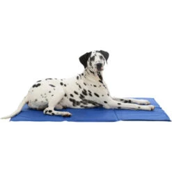 Trixie Kühlmatte -Bester Tierserien Laden trixie cooling mat 209390 0500 none