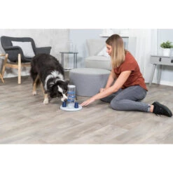 Trixie Dog Activity Gambling Tower 14 Trixie Dog Activity Gambling Tower -Bester Tierserien Laden trixie dog activity gambling tower 179852 0500 none