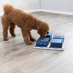 Trixie Dog Activity Poker Box 5 Trixie Dog Activity Poker Box -Bester Tierserien Laden trixie dog activity poker box 222165 0500 none