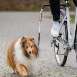 Trixie Biker-Set -Bester Tierserien Laden trixie fiets set 178264 0500 none