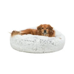 Trixie Kissen Harvey 11 Trixie Kissen Harvey -Bester Tierserien Laden trixie kussen harvey 170536 0500 none