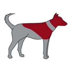 Trixie Aufblasbare Halskrause -Bester Tierserien Laden trixie opblaasbare beschermkraag 101866 0500 none