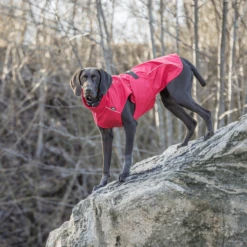 Trixie Regenjacke Vimy -Bester Tierserien Laden trixie regenjas vimy 204854 0500 none