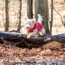 Trixie Regenjacke Vimy -Bester Tierserien Laden trixie regenjas vimy 204857 0500 none