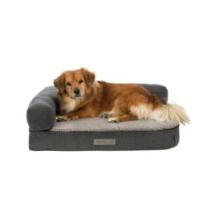 Trixie Vital Sofa Bendson -Bester Tierserien Laden trixie vitaal sofa bendson donkergrijs lichtgrijs 180382 0500 none
