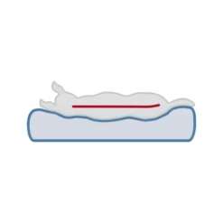 Trixie Vital Orthopädische Matratze Lonni 26 Trixie Vital Orthopädische Matratze Lonni -Bester Tierserien Laden trixie vital ligmat lonni 217058 0500 none