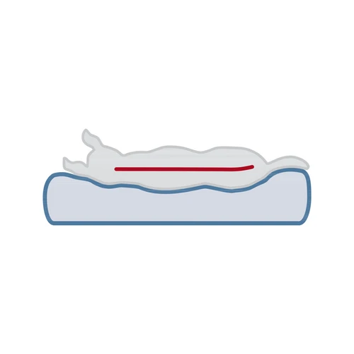 Trixie Vital Orthopädische Matratze Lonni 12 Trixie Vital Orthopädische Matratze Lonni – Bild 10