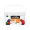 Versele-Laga NutribirdLori -Bester Tierserien Laden versele laga nutribird lori 204656 0500 none