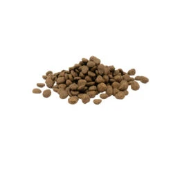 Versele-Laga Opti Life Sensitive -Bester Tierserien Laden versele laga opti life sensitive 199883 0500 none