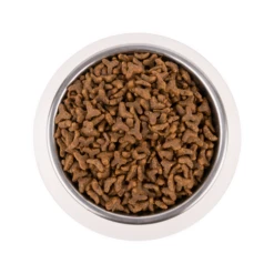 Vetality Gastrointestinal - Katzenfutter -Bester Tierserien Laden vetality gastrointestinal kattenvoer 217720 0500 none