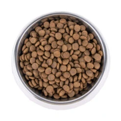 Vetality Hypoallergenic - Hundefutter -Bester Tierserien Laden vetality hypoallergenic hondenvoer 195278 0500 none
