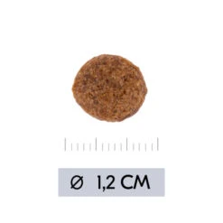 Vetality Hypoallergenic - Hundefutter -Bester Tierserien Laden vetality hypoallergenic hondenvoer 195473 0500 none