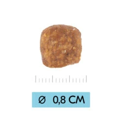 Vetality Puppy Medium - Hundefutter -Bester Tierserien Laden vetality puppy medium hondenvoer 213674 0500 none