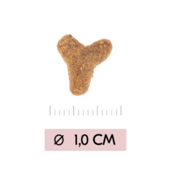 Vetality Skin Support - Katzenfutter -Bester Tierserien Laden vetality skin support kattenvoer 217723 0500 none