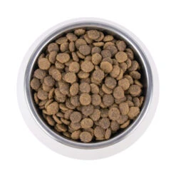 Vetality Urinary - Katzenfutter -Bester Tierserien Laden vetality urinary kattenvoer 195269 0500 none