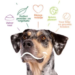 Yarrah - Bio Trockenfutter Vega Getreidefrei 9 Yarrah - Bio Trockenfutter Vega Getreidefrei -Bester Tierserien Laden yarrah bio droogvoer hond vega graanvrij 201212 0500 none