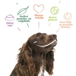 Yarrah - Hundefutter In Soße Vega Mit Hagebutten Bio 10 Yarrah - Hundefutter In Soße Vega Mit Hagebutten Bio -Bester Tierserien Laden yarrah bio natvoer hond kuipje chunks vega 200843 0500 none