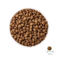 Yarrah Bio-Katzenfutter Grain-Free Für Sterilisierte Katzen 10 Yarrah Bio-Katzenfutter Grain-Free Für Sterilisierte Katzen -Bester Tierserien Laden yarrah droogvoer gesteriliseerde kat graanvrij bio 201167 0500 none