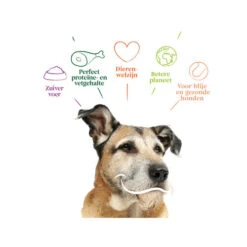 Yarrah - Trockenfutter Senior Mit Huhn, Fisch Und Kräutern Bio 9 Yarrah - Trockenfutter Senior Mit Huhn, Fisch Und Kräutern Bio -Bester Tierserien Laden yarrah droogvoer hond senior bio 201146 0500 none