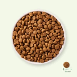 Yarrah - Trockenfutter Für Welpen Mit Huhn Bio -Bester Tierserien Laden yarrah droogvoer puppy bio 199694 0500 none