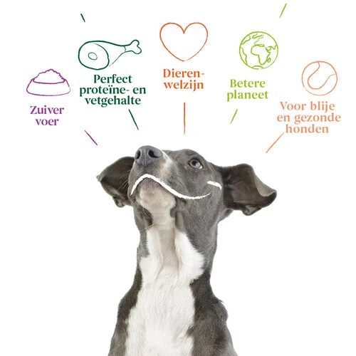 Yarrah - Hundefutter In Soße Rind Mit Petersilie & Thymian Bio 7 Yarrah - Hundefutter In Soße Rind Mit Petersilie & Thymian Bio – Bild 5