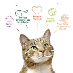 Yarrah - Katzenfutter Paté Rind Mit Chicorée Bio -Bester Tierserien Laden yarrah pat kat kuipje met rund bio 201059 0500 none