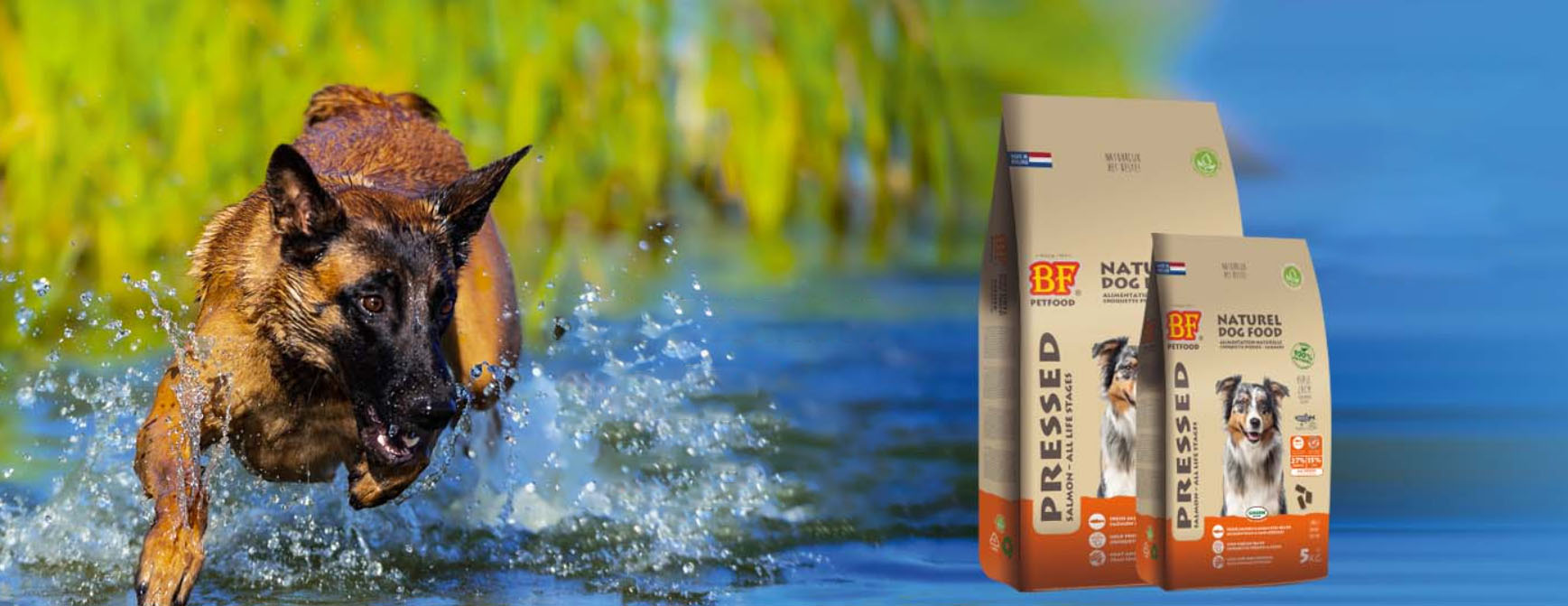 Bester Tierserien Laden -Bester Tierserien Laden yii