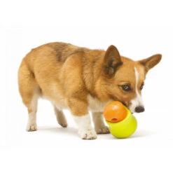 Zogoflex Toppl - Treat Toy 17 Zogoflex Toppl - Treat Toy -Bester Tierserien Laden zogoflex toppl treat toy 219464 0500 none